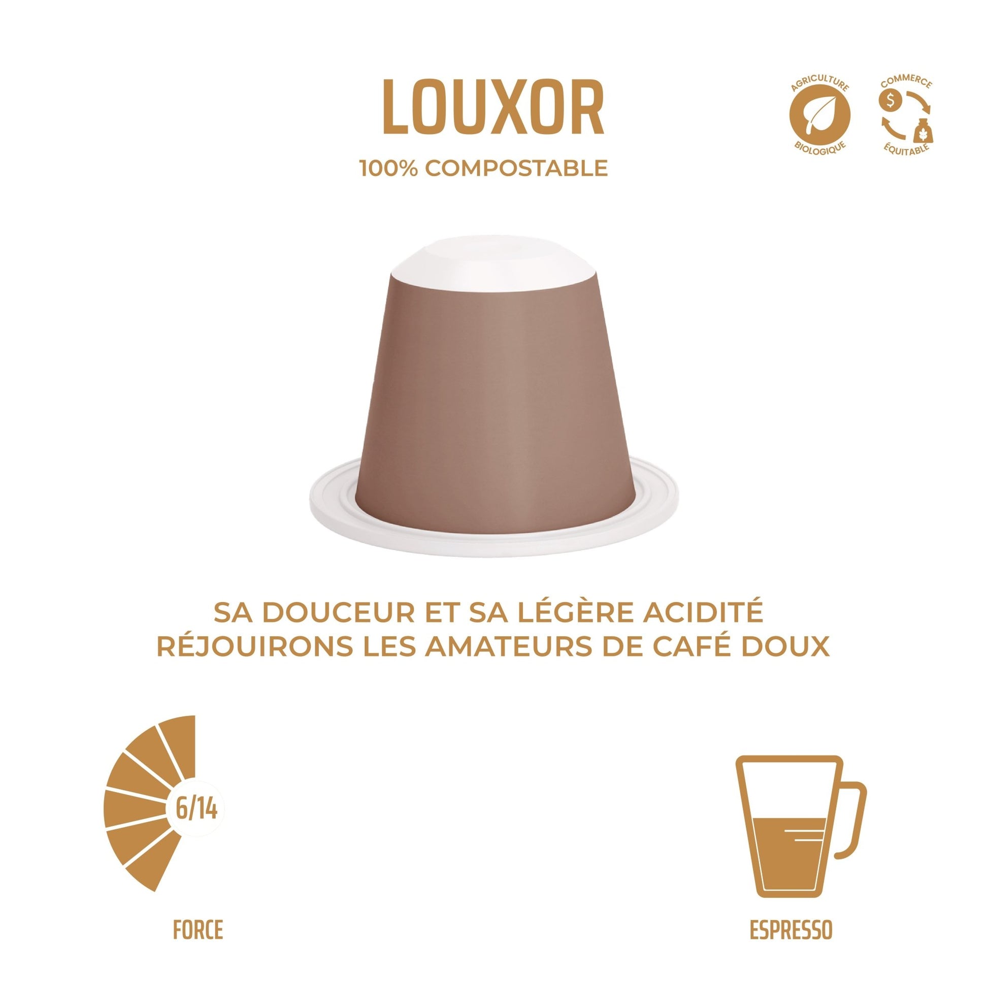 Capsules compostables x 10 - Nespresso® - Louxor " Espresso Bio" - Cafegraal