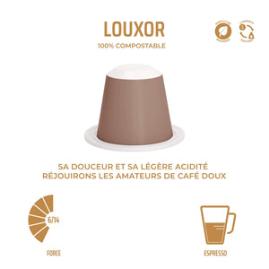 Capsules compostables x 10 - Nespresso® - Louxor 